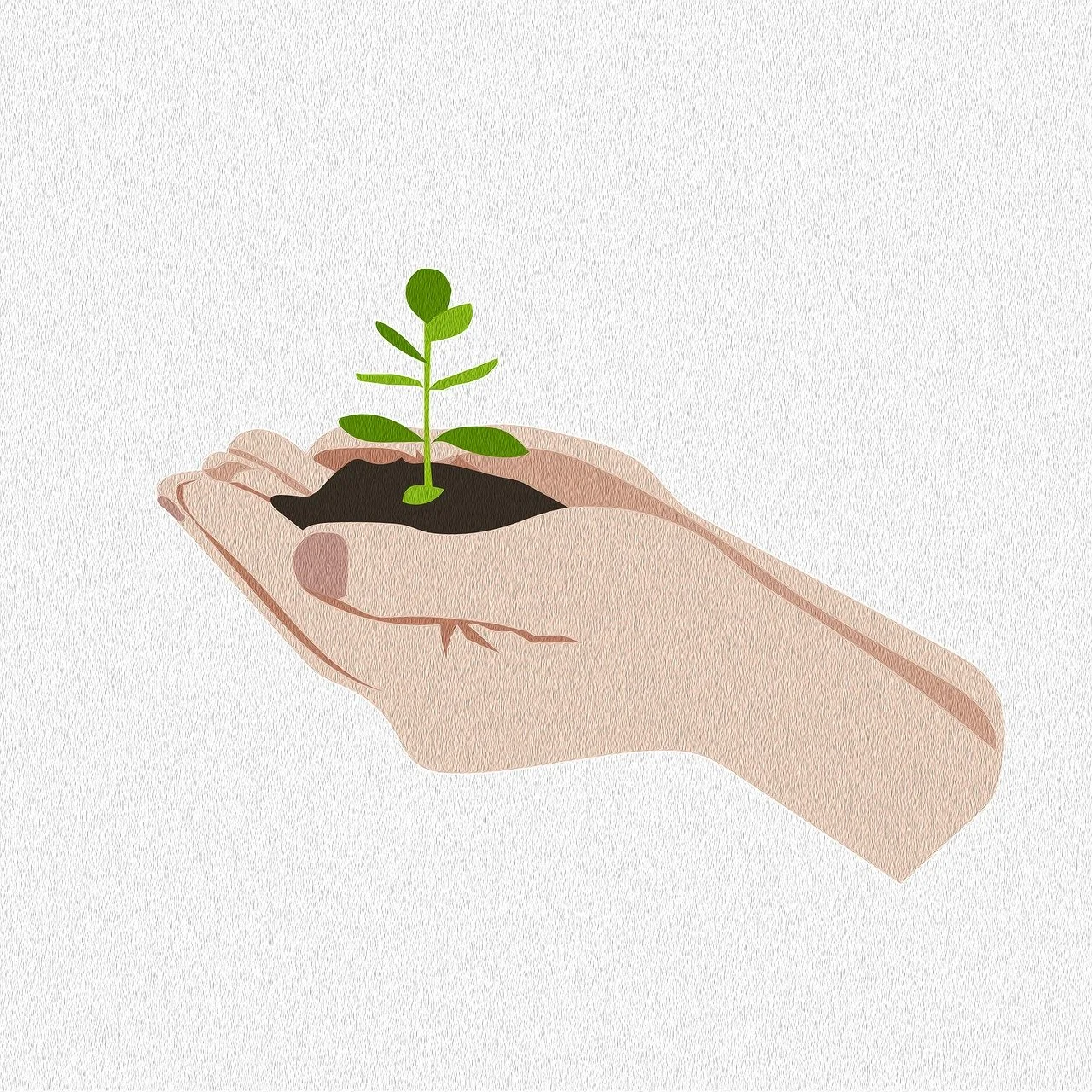 Primii pași în grădinărit: semințe plante adaptate și semințe roșii rezistente